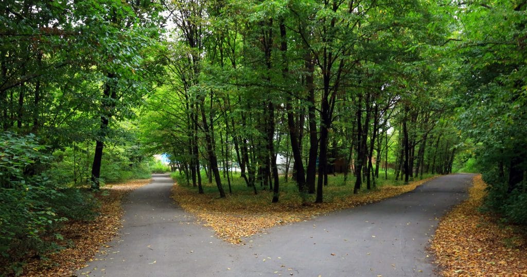 My Path is Different Than Your Path