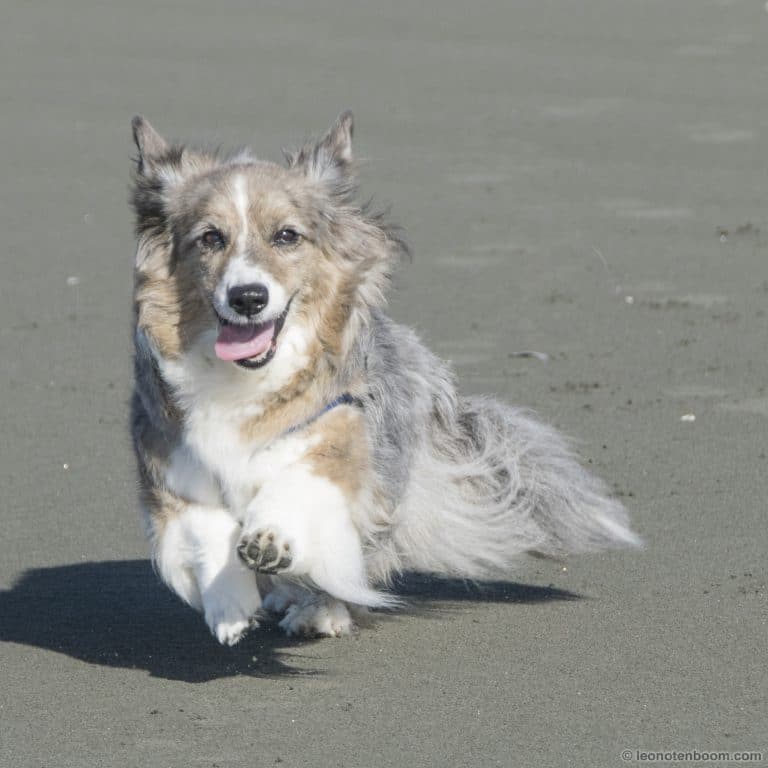 Running on the beach a month before her death.