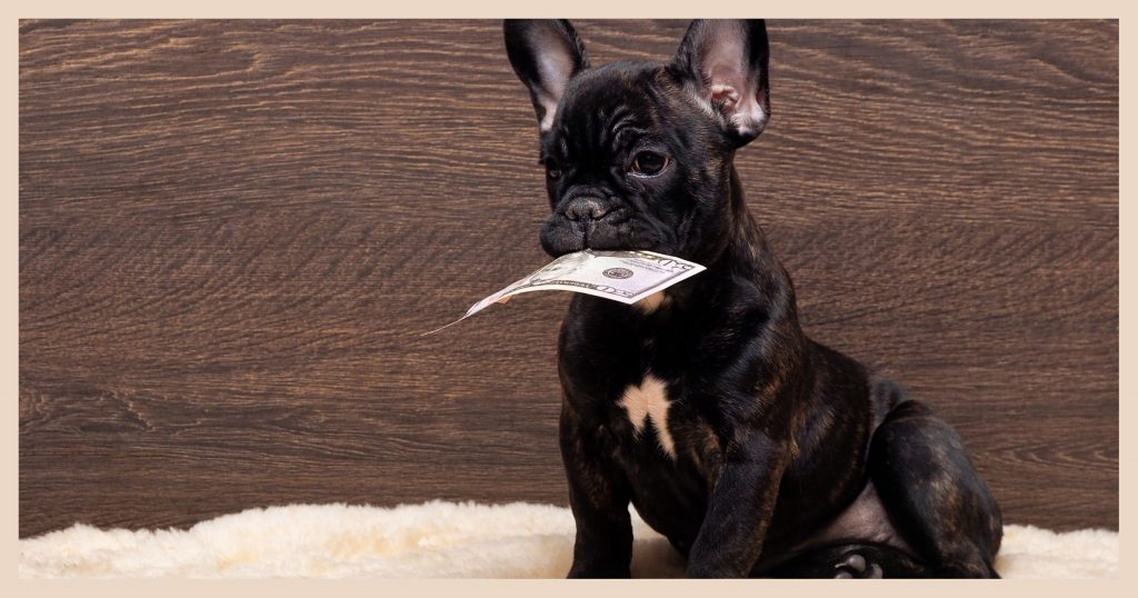 Dog holding money in its mouth.