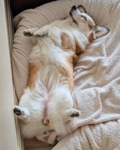Norma in repose.